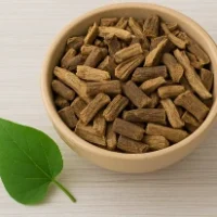 sariva extract sariva extract