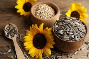 benefits of sunflower seed