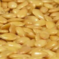 Flax Seeds Flax Seeds