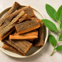 Arjuna bark used in Hriday Mitra cholesterol tonic
