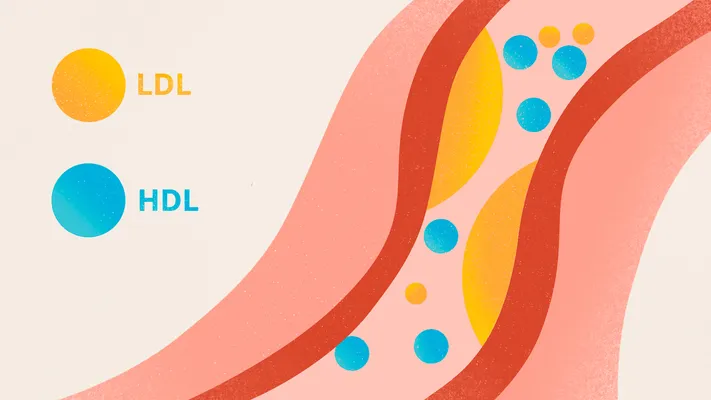 hdl cholesterol balance with unicare hriday mitra