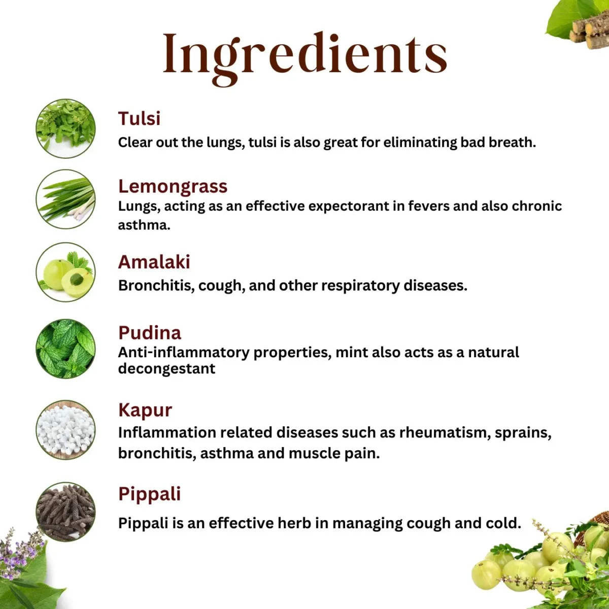 key ingredients use for coldex cough syrup