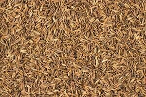 jeera uses for acidity